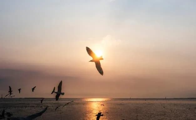 Online Counselling - A Personal Story